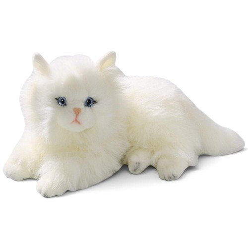Carl dick chat - carl,