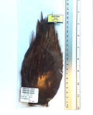 Pêche à la mouche _cou de coq roux moyen_ marque Ragot