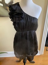 Francesca silk Dress New With