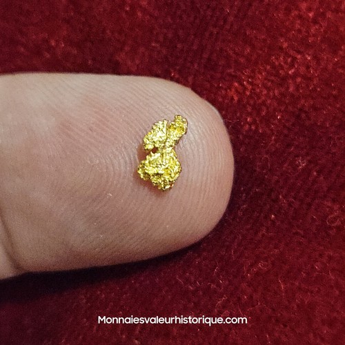 Pépite naturelle - pépite, d’or