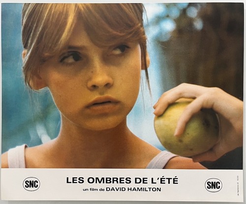 Les ombres ete - ombres, l'ete
