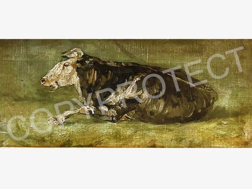 Lying cow high quality - lying, high-quality