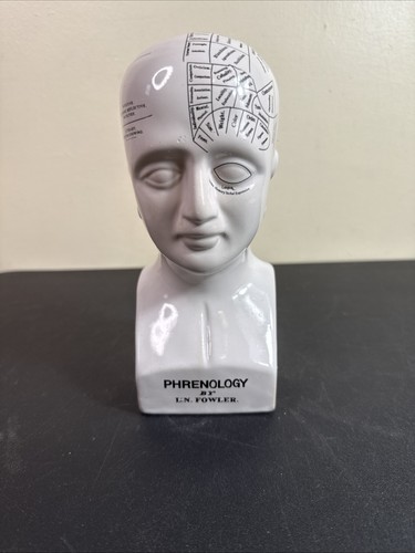 Phrenology head bust - phrenology, bank