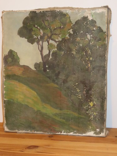 Tableau peinture sur toile vue - peinture,