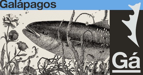 Galapagos rod baitcast - rod,