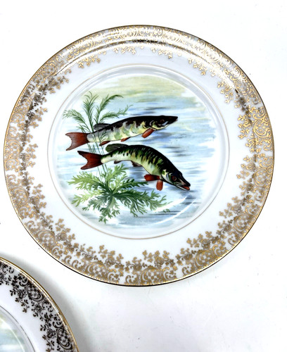 Limoges décor poisson - poisson, contour