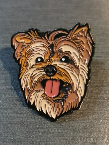 Yorkshire terrier dog - dog, chien