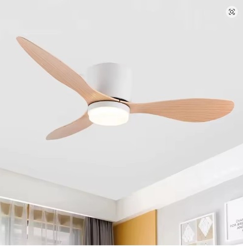 Ventilateur plafond - ventilateur, de