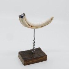 défense de phacochère tire