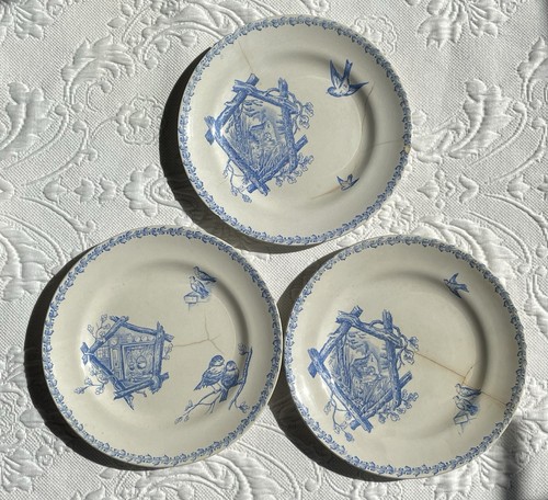 Terre fer dessert plates - dessert,