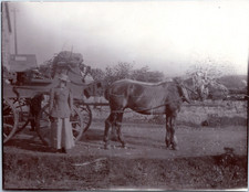 Ecosse, calèche, voiture à
