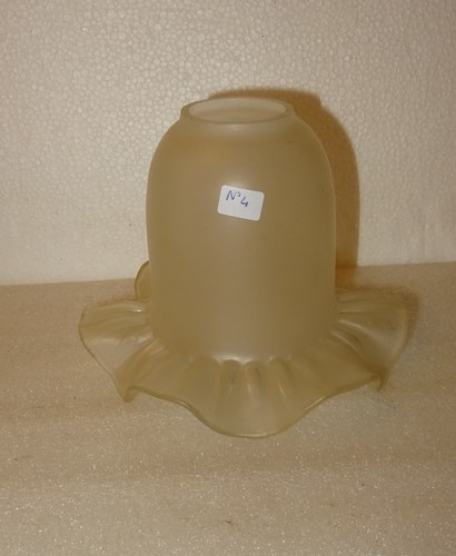 Verrine ou tulipe en - tulipe,