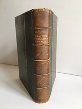 anatomie et physiologie