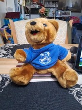 Air War College Bear Bean Bag