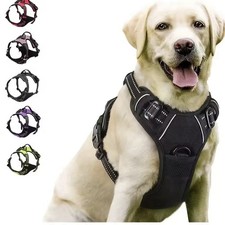Harnais collier chien avec - harnais,