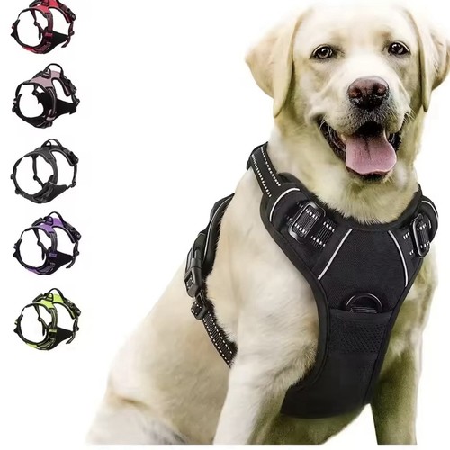 Harnais collier chien - harnais,