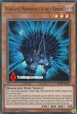 ♦Yu-Gi-Oh!♦ Hérisson