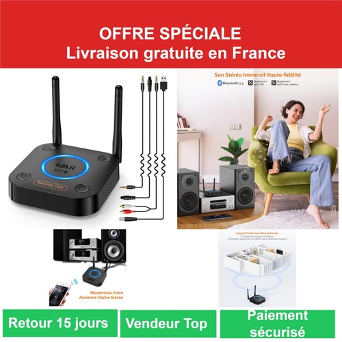 1mii b06pro récepteur - b06pro,