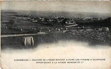 PC LUXEMBOURG CULTURE DE L'OSIER MERCIER CHAMPAGNE BASKETS (A61740)