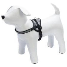 Karlie Chiot Teeny Weeny