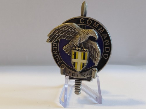 Insignes brevet cnec centre - insignes,