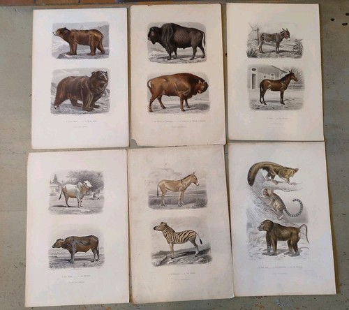 Anciennes gravures - anciennes,