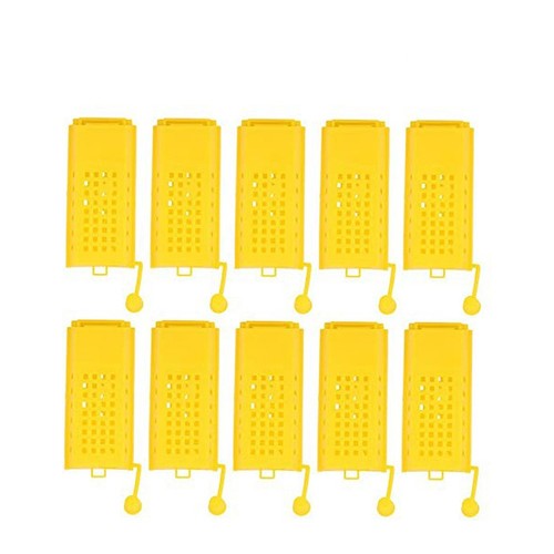10pcs apiculture élevage