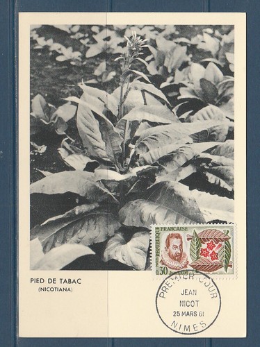 Carte 1er jour tabac - jour, jean