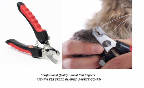 Pro groomer cat nail - groomer,