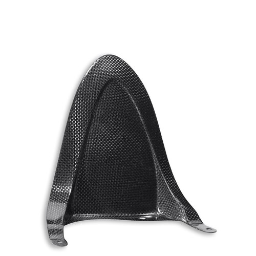 Garde boue carbone - carbone, ducati