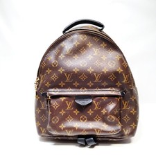 Louis Vuitton LV BackPack Bag