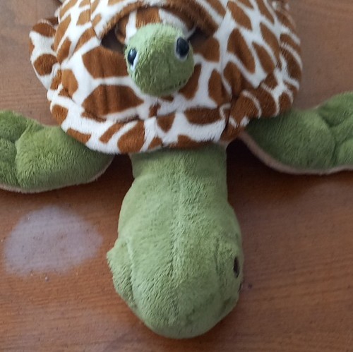 Peluche tortue verte - , avec