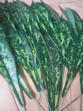 lot revendeur destockage neuf