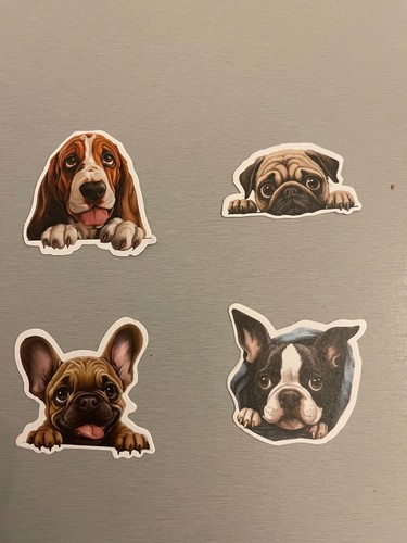 Autocollants stickers - ,