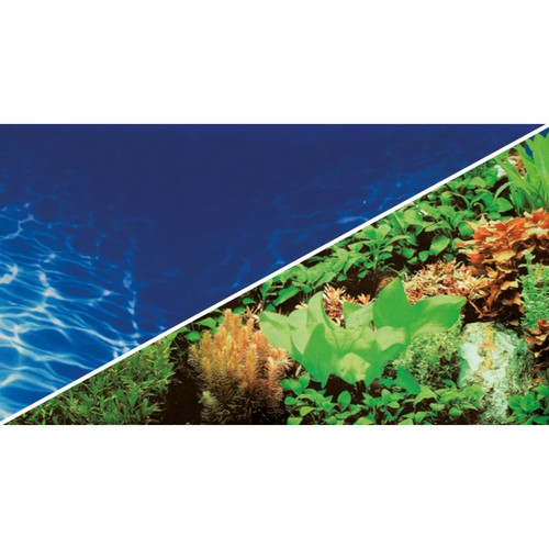 Hobby fond aquarium - hobby, d'aquarium