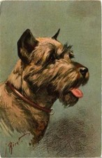 CPA AK Pinscher Schnauzer DOGS