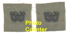 US Army 60s/70s Pair of Fabric Warrant Officer Collar Pads 