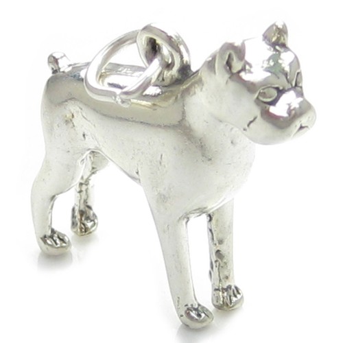 Breloque argent sterling - en,
