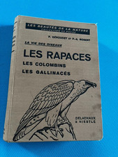 Oiseaux Les Rapaces, Colombins