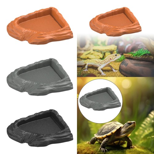Bol pour tortue bassin - pour,