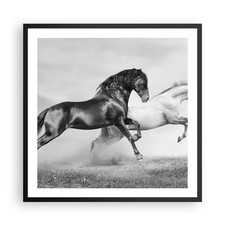 Affiche Poster 60x60cm