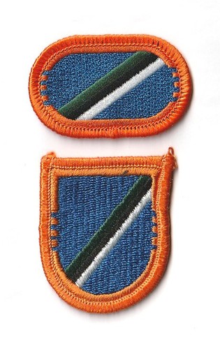 Oval beret flash - flash, 160th