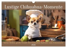 Moments forts de la vie à