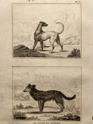 Illustration ancienne 1835 - illustration,