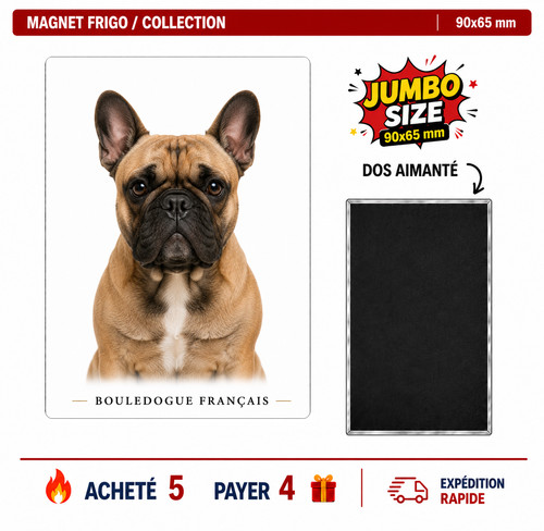 Magnet bouledogue francais