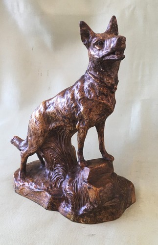 Chien loup régule - chien, en
