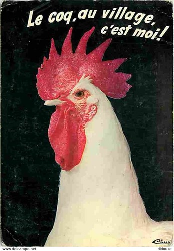Carte postale animaux - carte,