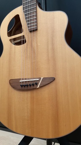 Guitare acoustique électrique
