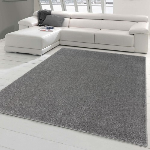 Tapis classique pour salon - pour,