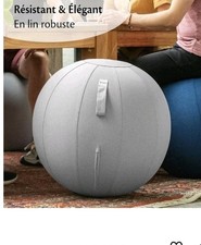 Siège Ballon - Ballon Ergonomique Bureau & Yoga Chaise Ballon en Taille 75CM